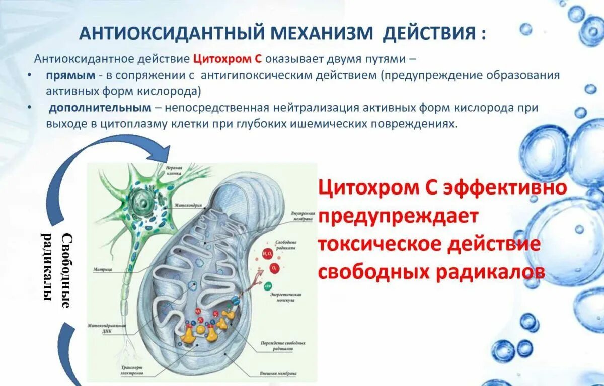 Цитохром ампулы. Структура цитохрома. Структура цитохрома. Строение цитохрома. Цитохром с инструкция.