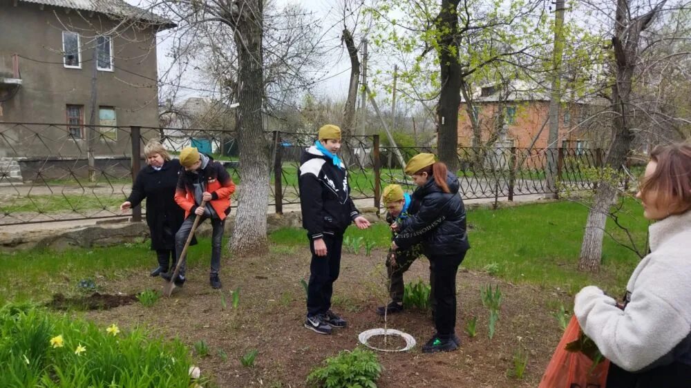 Сад памяти. Сад памяти школа. Сад памяти школа. Школьный сад. Сад памяти школа.