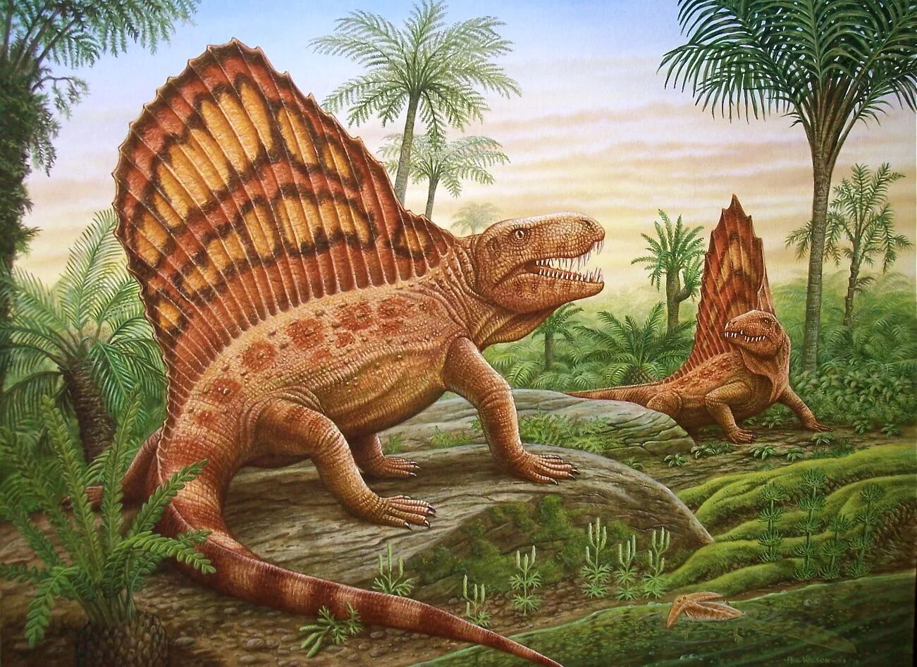 Пермский период Диметродон. Диметродон динозавр. Пеликозавры Триасового периода. Мезозойская Эра пеликозавры.