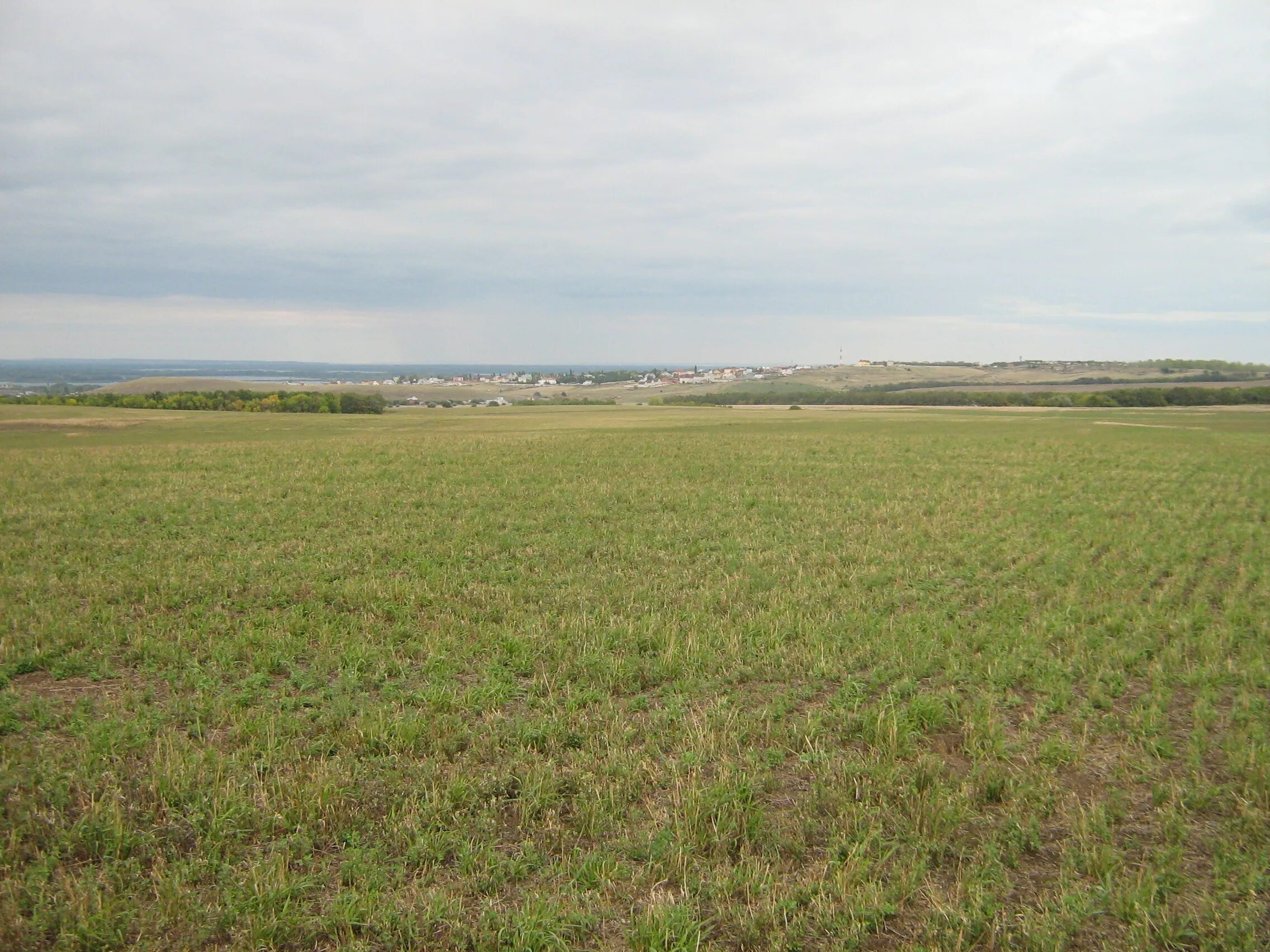 200 соток земли. 200 соток земли. 40 соток фото. территория 200 соток. дача 200 соток.