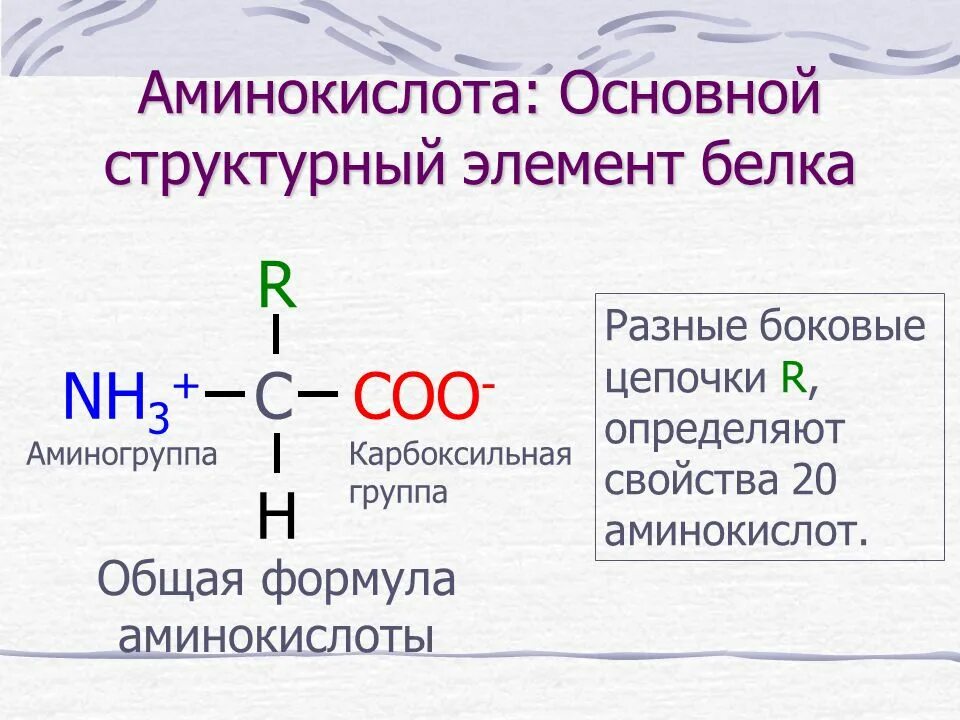 10 формул аминокислот. Аминокислоты структурные формулы. Общая формула строения аминокислот. Формула аминокислот общая формула. Аминокислоты структура формулы.
