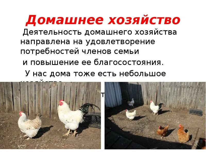 Тип хозяйства направленного на удовлетворение собственных нужд. Домашнее хозяйство. деятельность домашнего хозяйства. домашнее хозяйство примеры. технологии домашнего хозяйства.