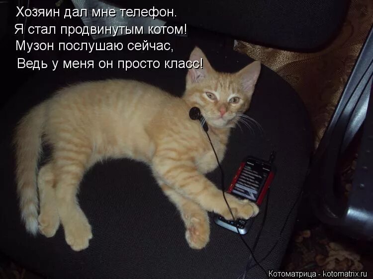 прощай мем. коммент. внимательно слушаю. трек в комменты. муза мемы.