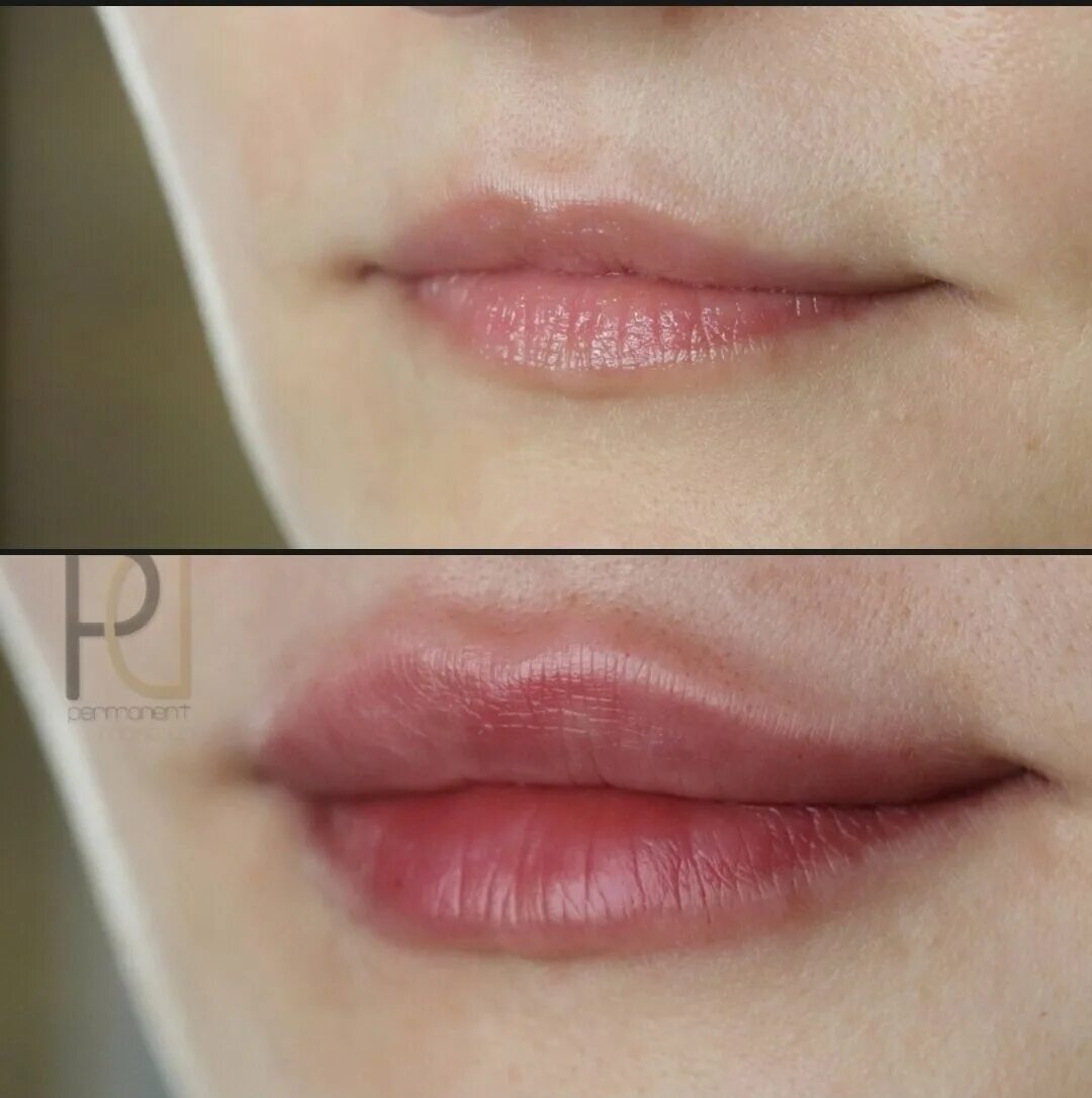 лаборатория татуажа дарьи павловской