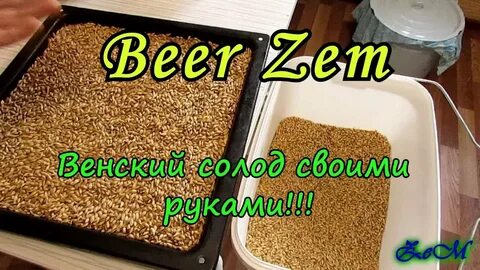 Солод в духовке