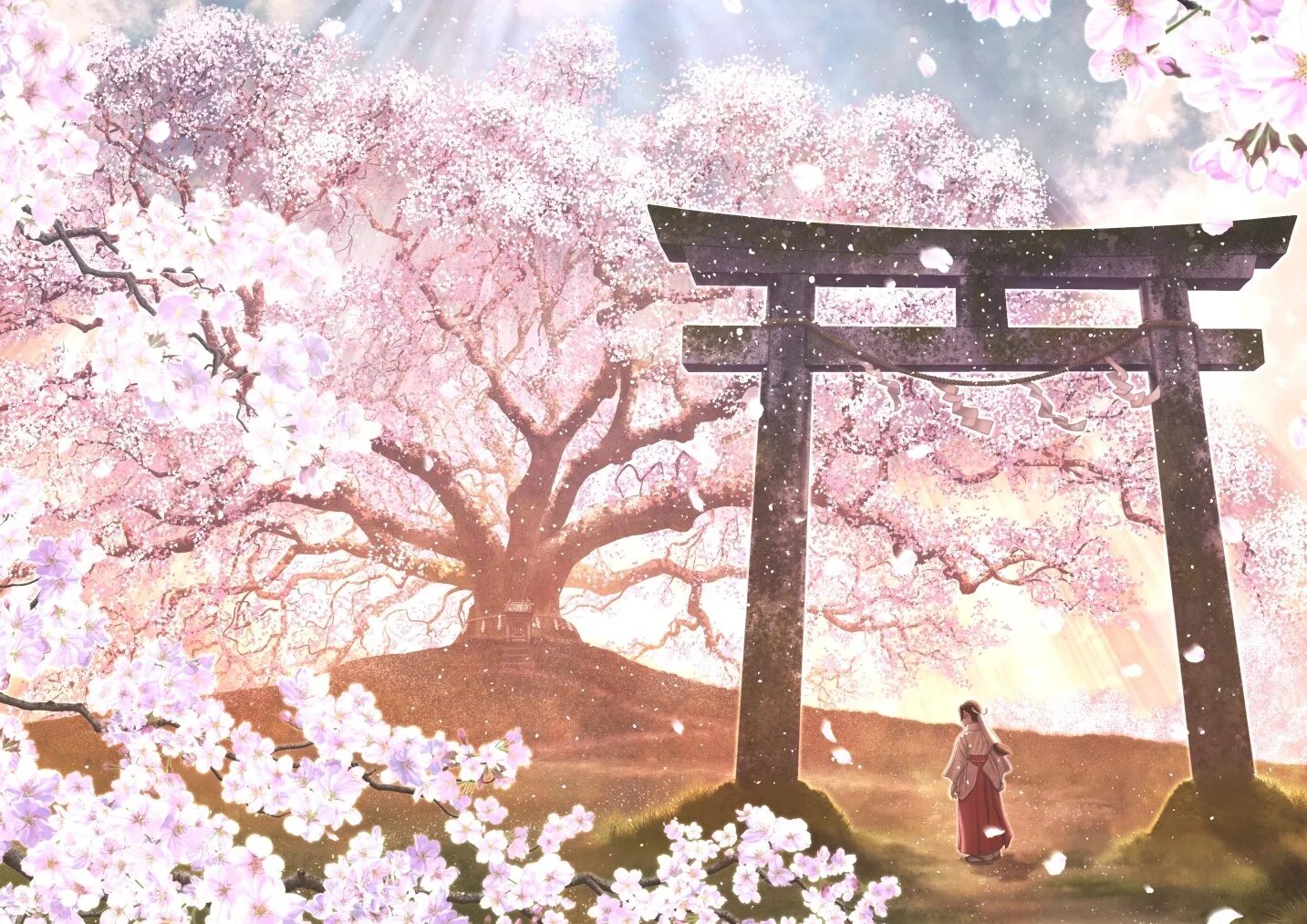 Japanese blossom. Япония врата тории пейзаж. Сакура черри блоссом дерево.