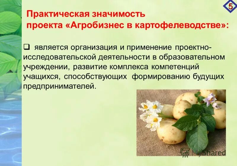 Практическая значимость проекта по профессии