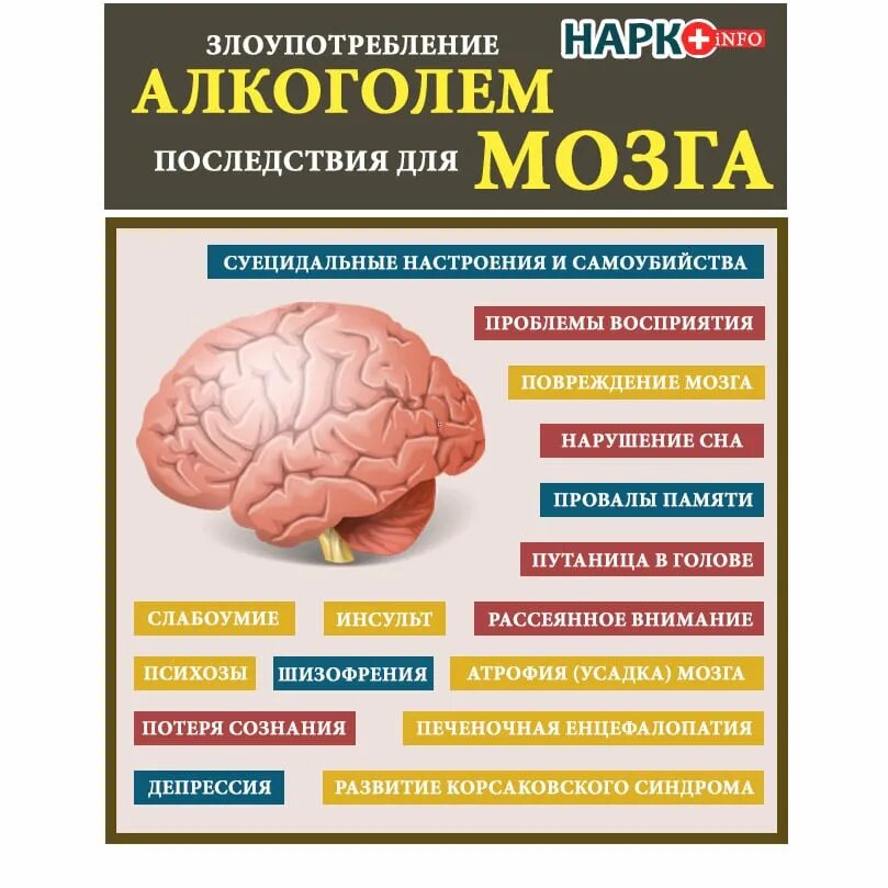 Можно ли восстановить мозг. Влияние алкоголя на моз. воздействие алкоголя на мозг человека.