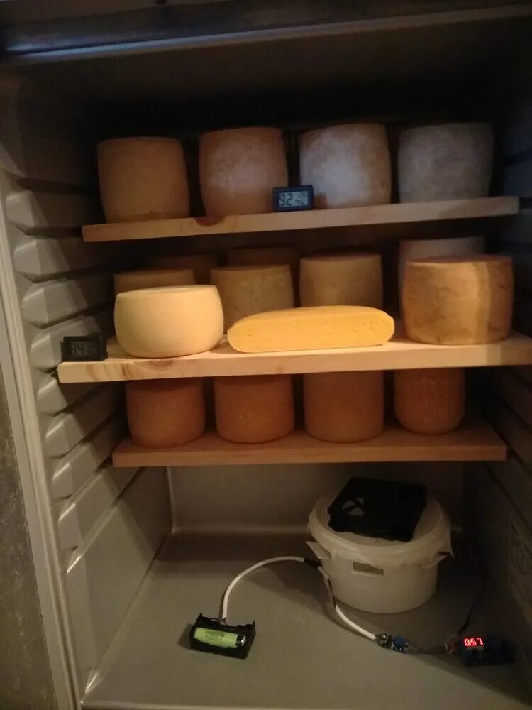 Камера для сыра купить. Холодильник для сыра. Холодильник для вызревания сыра. Сыр в холодильнике. Холодильная камера для сыра.