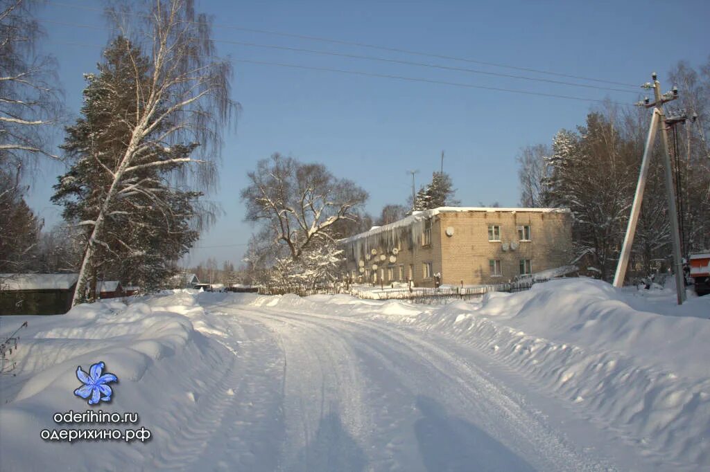 Поселок Лесной Ярославская область Ростовский район. Поселок Лесной Ростовский район Ярославская. Одерихино (Ярославская область). Посёлок Петровское Ярославской области.