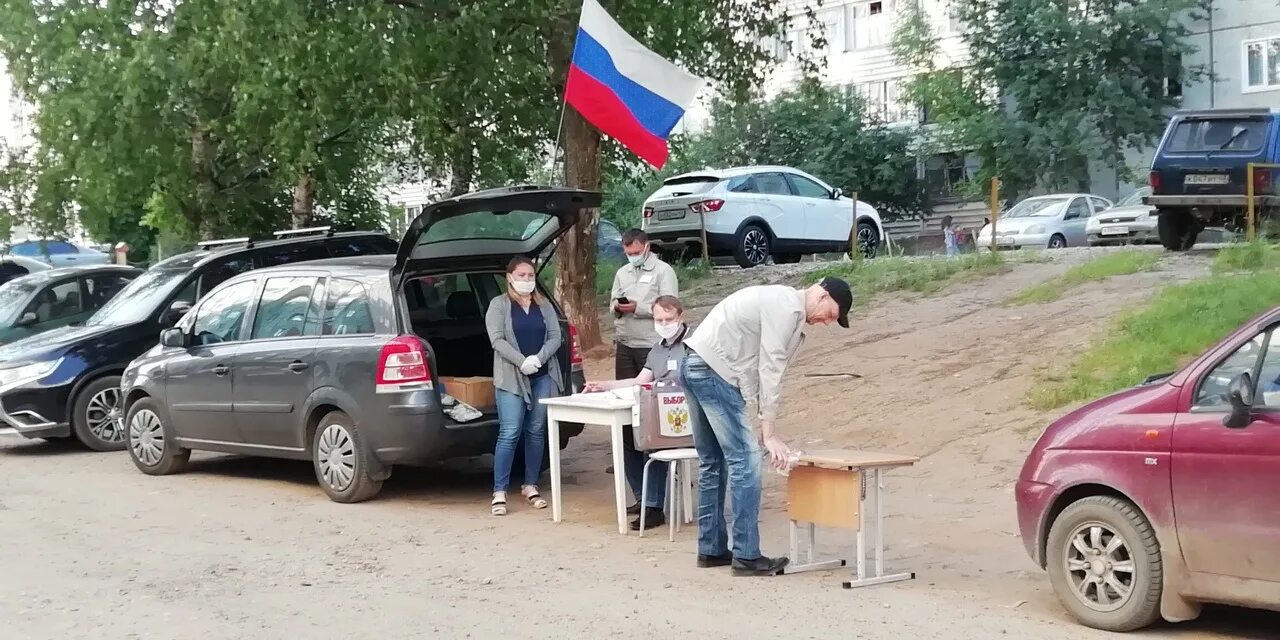 Развлечения на выборах. Голосование на пеньках. Голосование на пеньках в России. Голосование на пеньках и в багажниках. Выборы на пеньках 2020.