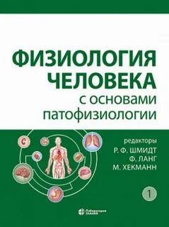 Физиология человека в работе