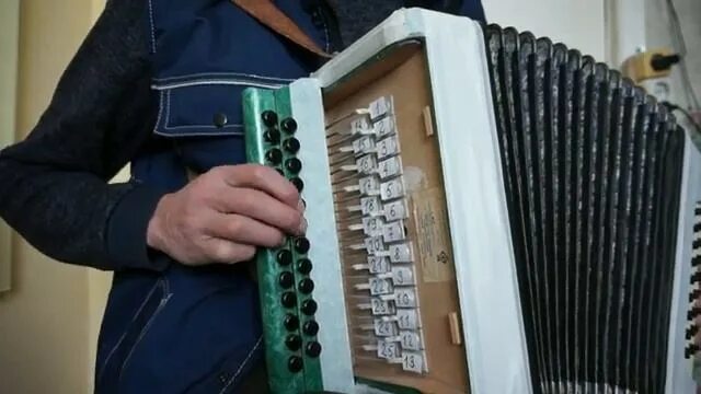 Гармонь в деревне разбор по цифрам. Видеоразборы на гармони с цифрами. расцвела под окошком белоснежная вишня разбор на гармони. русская дорога разбор на гармошке. разметка цифры на гармони.