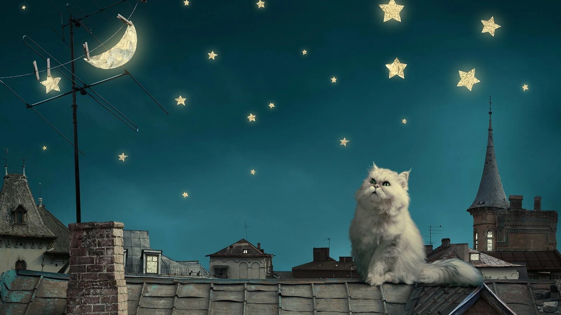 Луна над крышей дома. Кот на крыше. "Лунный кот". Лунный коn. Кот ночью.