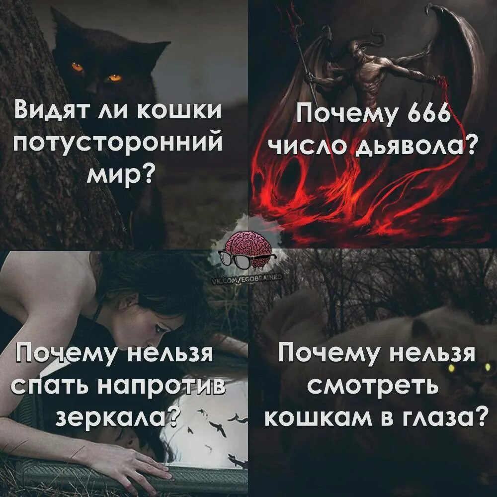 Вижу потусторонний мир