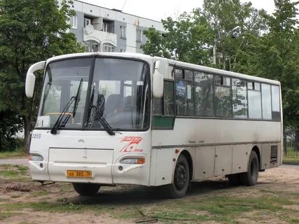 Ленинградская область 41к 313 30