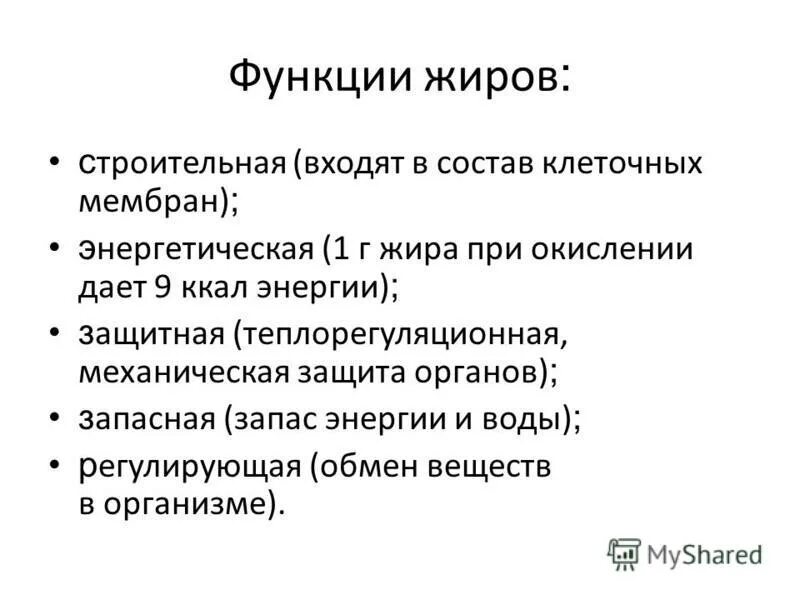 1 из функций жиров. 1 из функций жиров