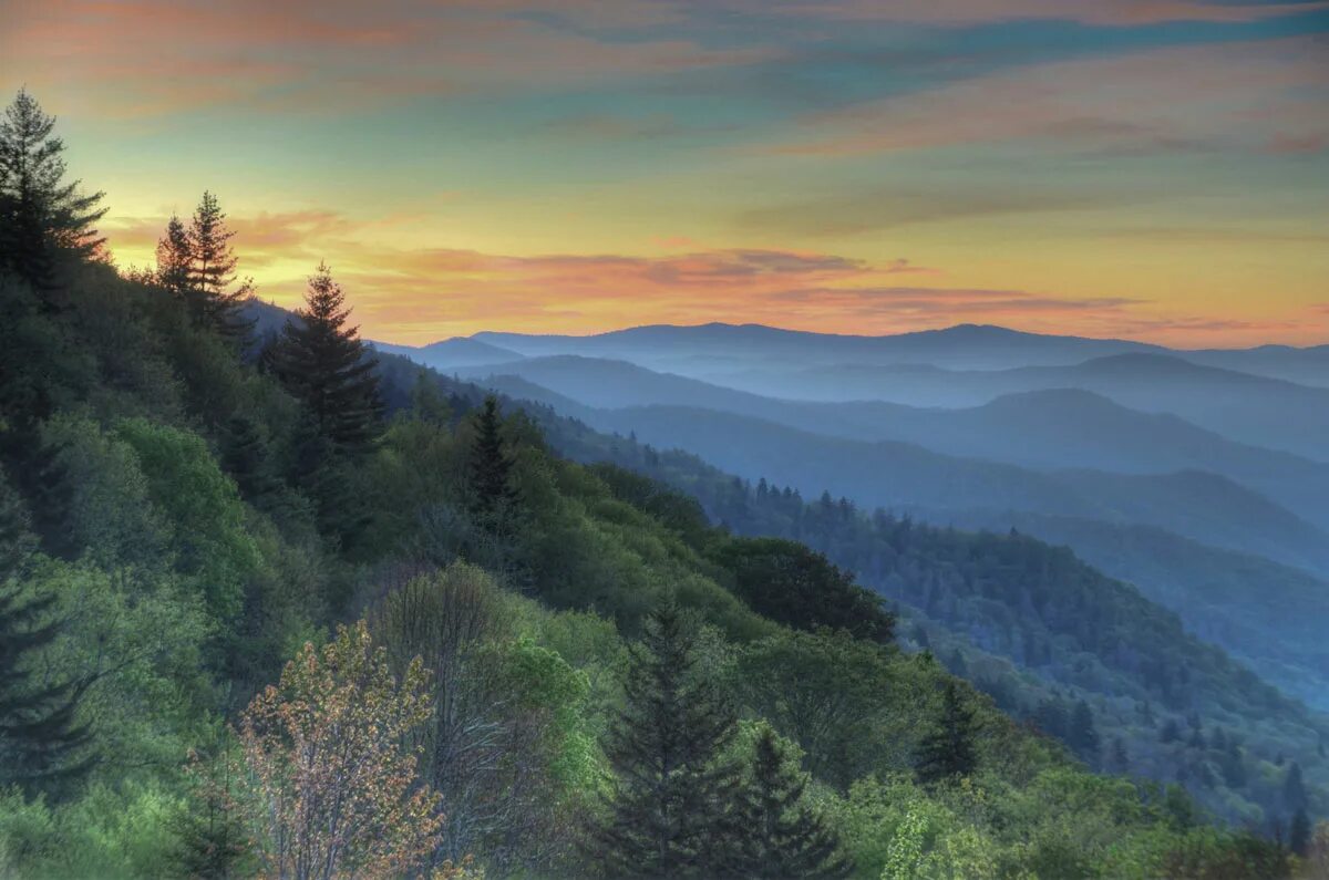Национальный парк грейт-смоки-маунтинс. The great smoky. Смоки маунтинс теннесси. Грейт-смоки-маунтинс животные. Национальный парк грейт-смоки-маунтинс.