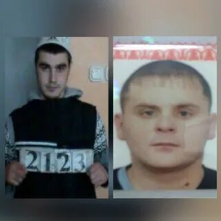 Мелстрой в розыске