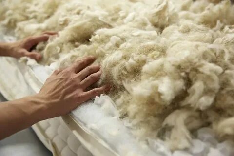 Шерсти обрабатывающий