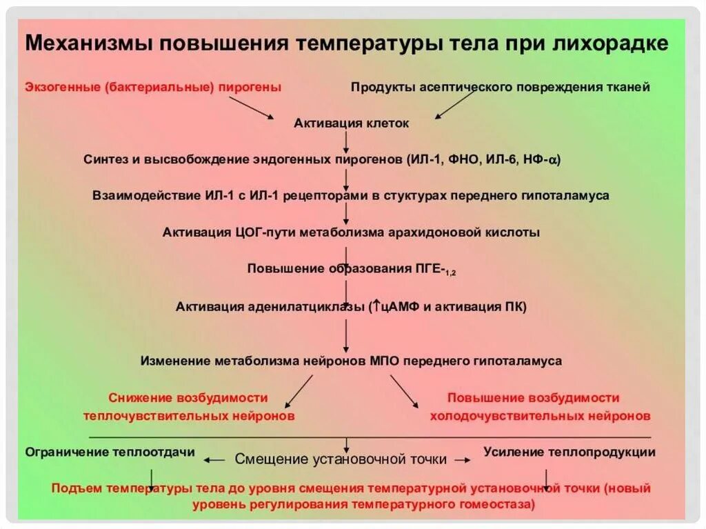 Причины повышающие температуру тела. Механизм повышения температуры при лихорадке. Механизм повышения температуры тела при лихорадке патофизиология. Механизм подъема температуры при лихорадке. Механизм изменения температуры тела при лихорадке схема.