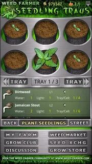 Weed перевод