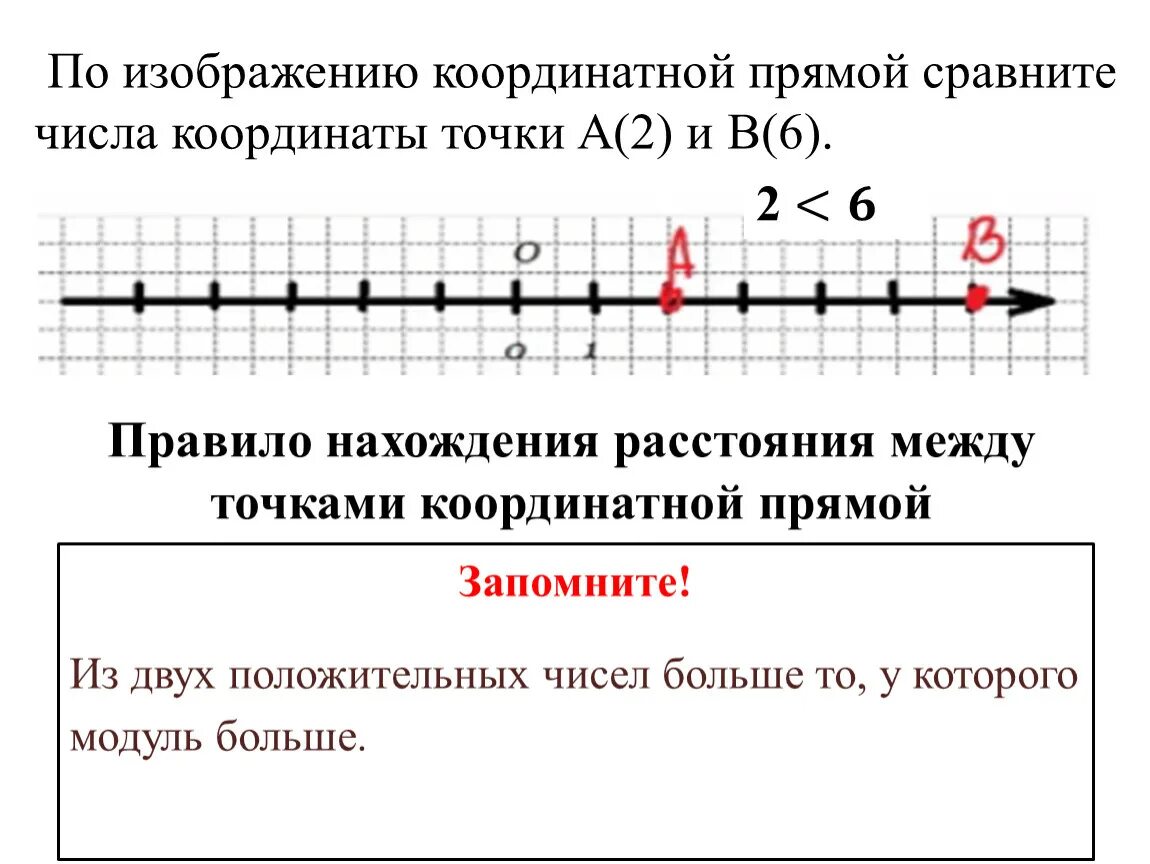 Точки на координатной прямой. Прямая на координатной прямой. Интервал на координатной прямой. Порядок координатной прямой.