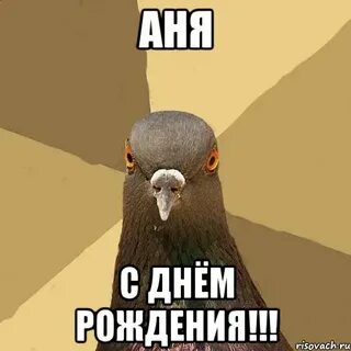 Дата рождения ани