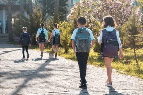 They are going to school