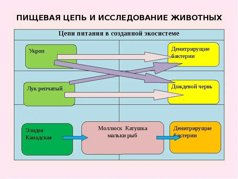 Виды связей в экологии. Открытые системы это в экологии. Системы экологии закрытые открытые. Замкнутая и изолированная система. Примеры замкнутой системы в экологии.