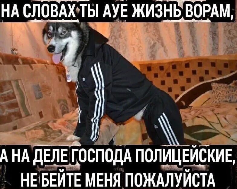 Е цитаты.