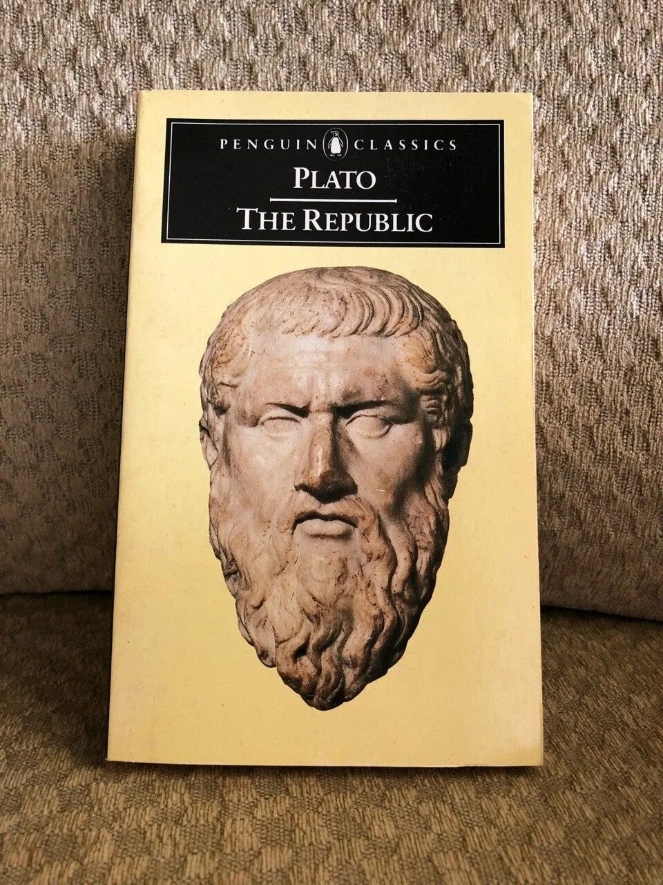 Book republic. Book republic. Book republic. "plato. Неврология - платос книга.