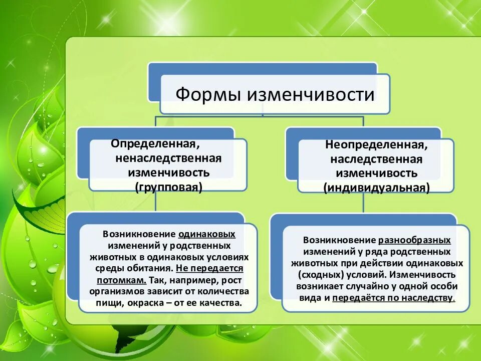 Учение шевкуненко об индивидуальной изменчивости. Групповая изменчивость. индивидуальная и групповая изменчивость. форма изменчивости групповая. определенная групповая изменчивость примеры.