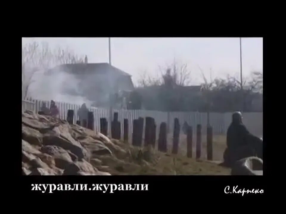 10age журавли. Дуравши текст. Всемирный день журавля 12 сентября. Журавли 10age. Журавли 10age.