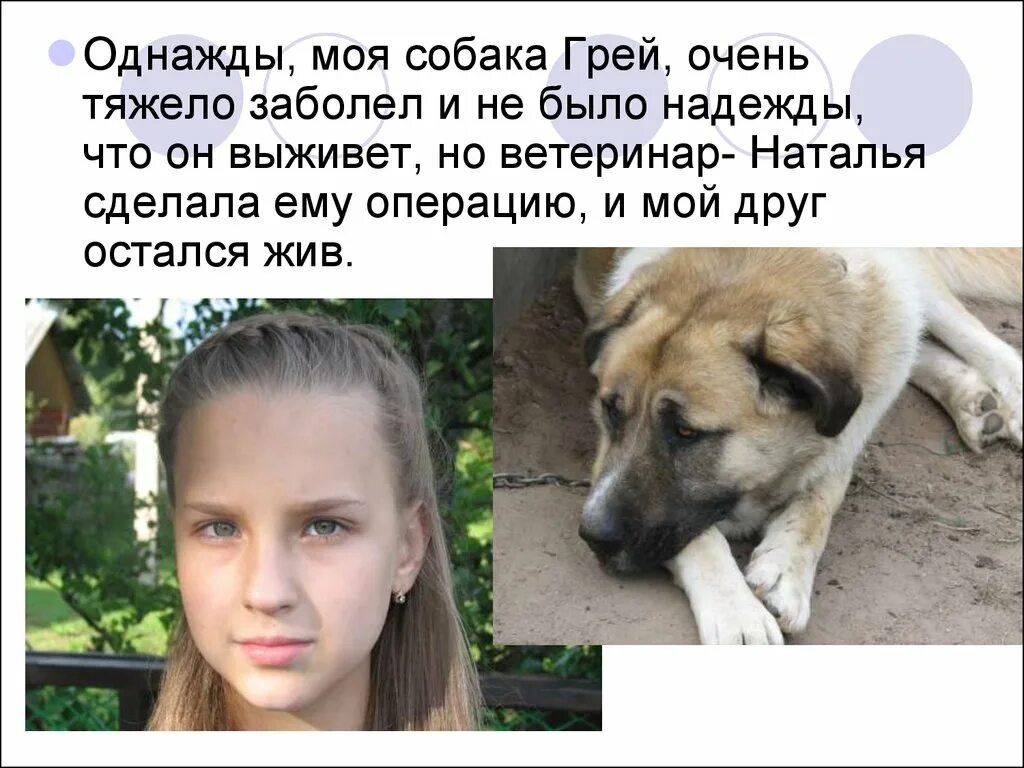 Книга джон палмер моя собака первое издание. Проект моя собака. Книги по уходу за собаками. Надпись моя собака. На кого моя собака.