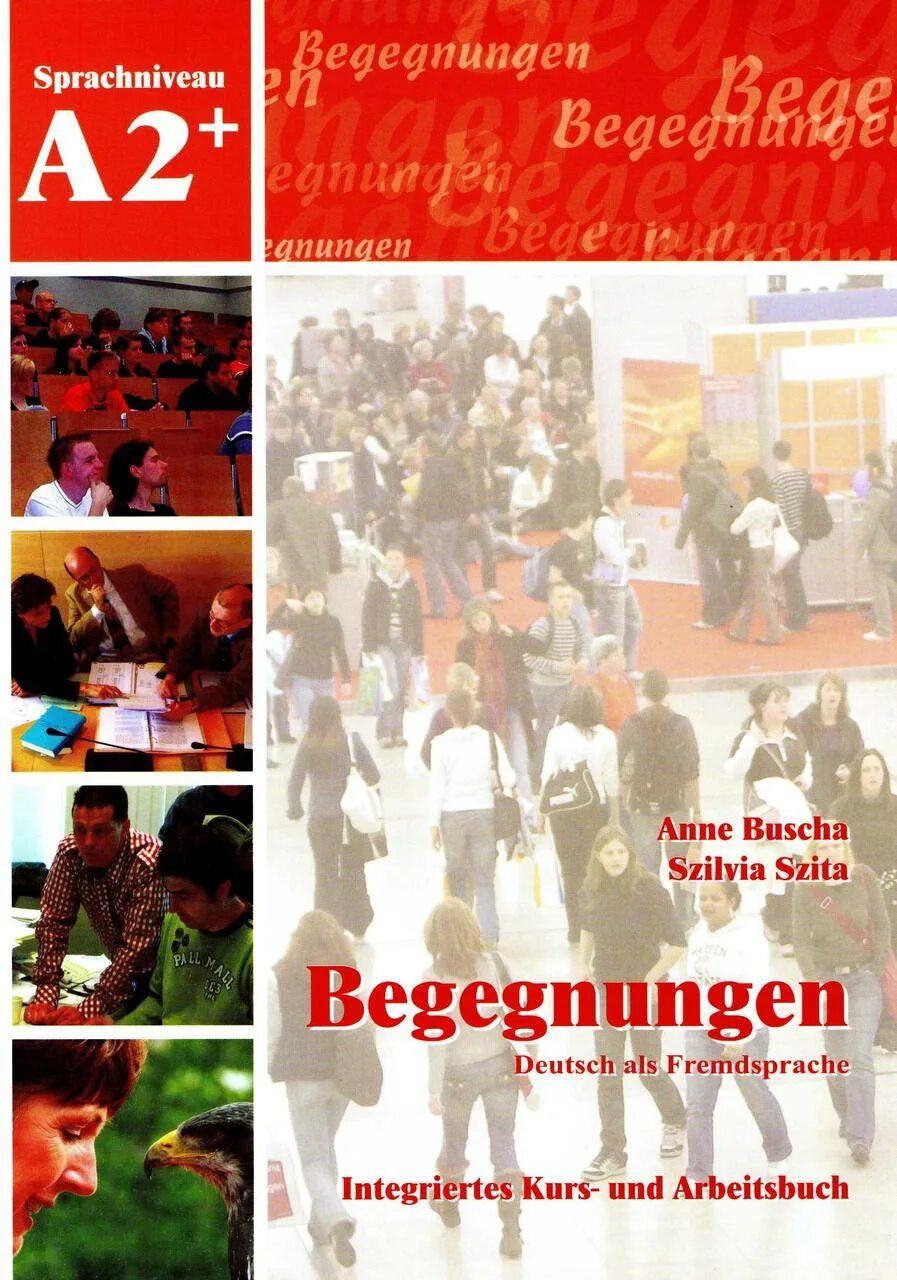 Begegnungen. Begegnungen a2. Begegnungen. Shubert verlag обожка. Begegnungen.