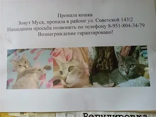 Пуся муся как звали 3 котенка