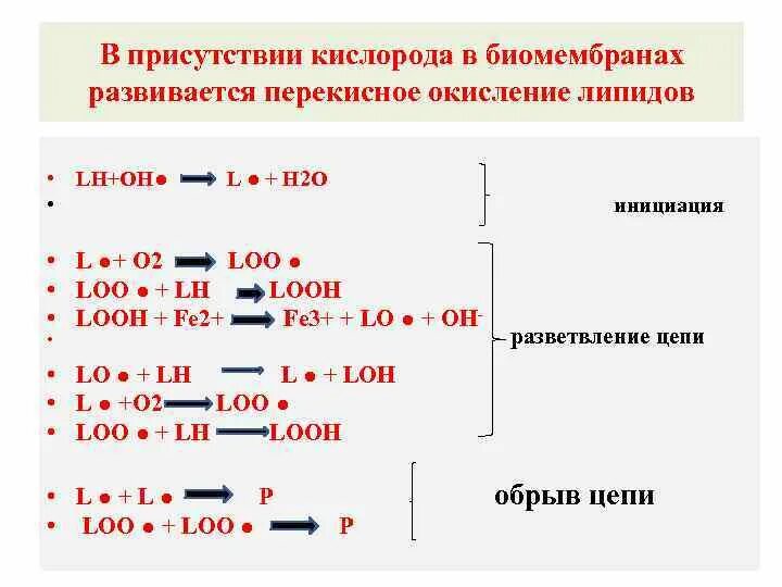 Ферменты пол. Роль пол биохимия. Реакция инициации пол. Инициация радикалов для водорода. Looh в биохимии.