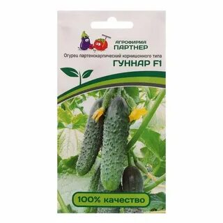 Огурец гуннар f1 описание отзывы