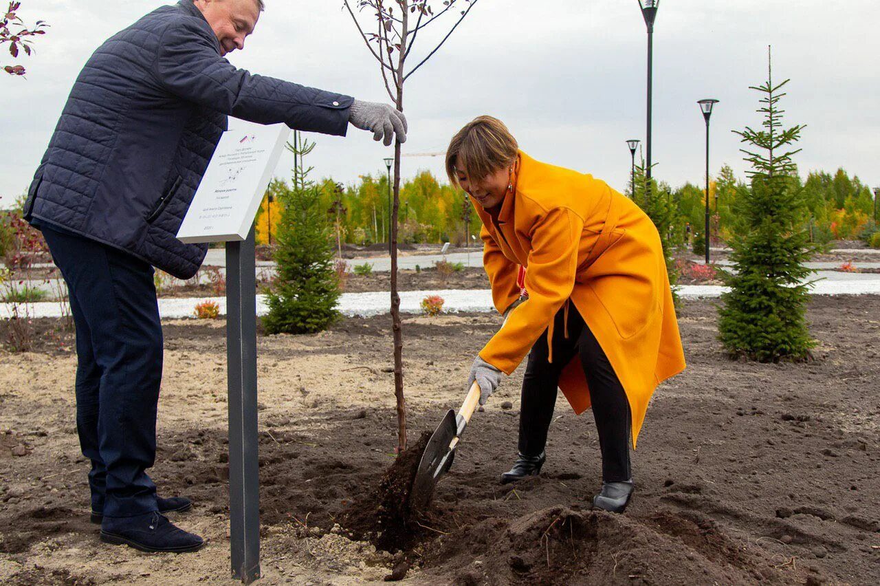 Китайский парк тюмень. Парк дружбы между россией и республикой корея. парк дружбы с кореей тюмень. сквер дружбы тюмень.