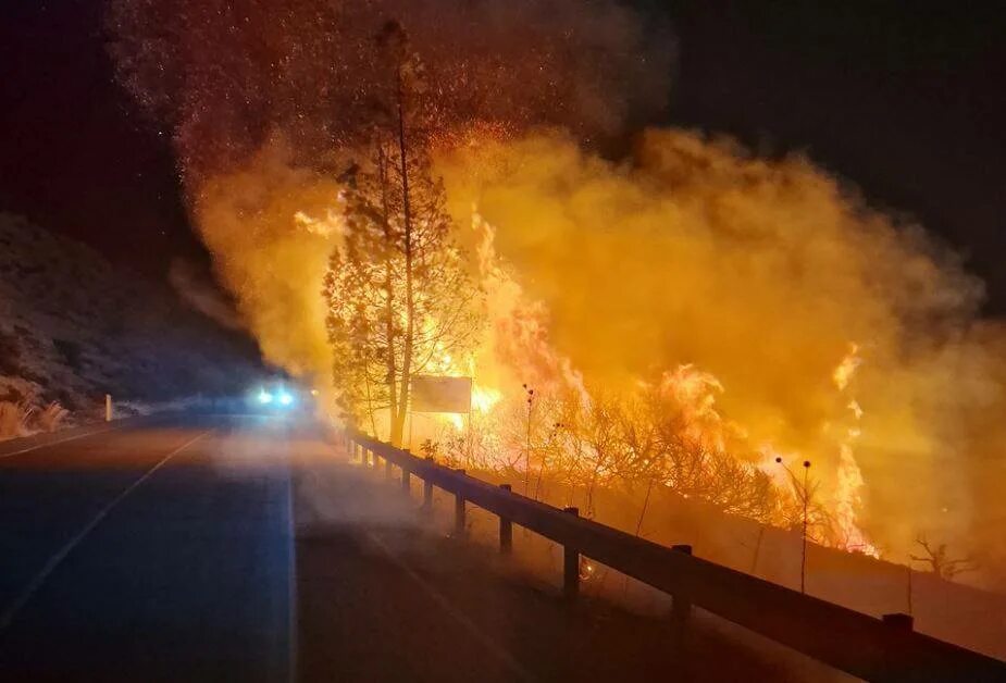 Пожар. Пожар в лесу. Пожары в Европе 2023. Вчерашний пожар.