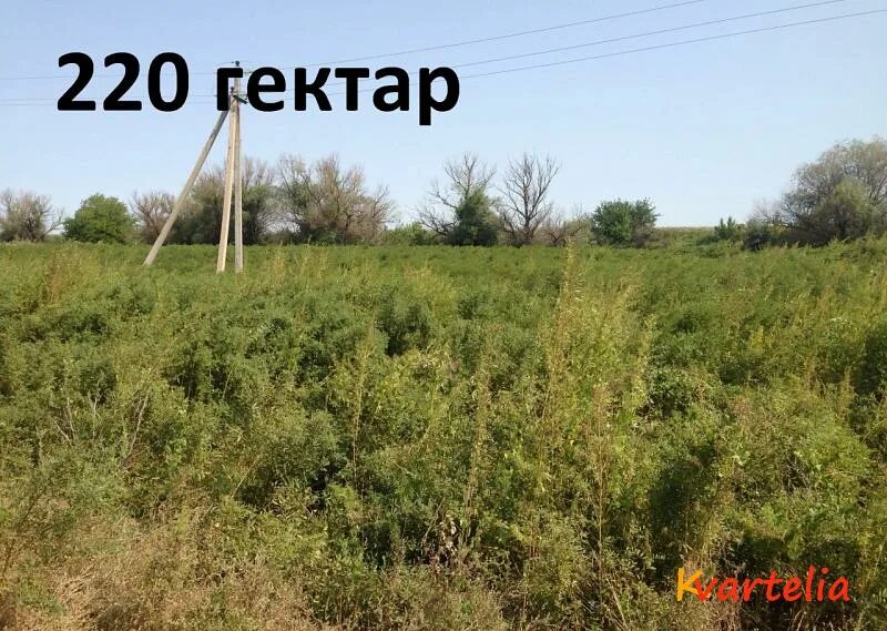 200 гектар. 220 га. 220 гектаров. Пруды в рачатниках в михайлове. Рязанская область михайловский район деревня рачатники на карте.