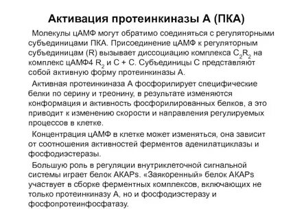 Протеинкиназа класс