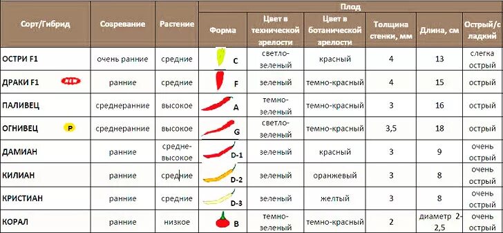 Можно ли есть острое. Можно ли кушать острый перец. Перец при беременности. Чем полезен болгарский перец для беременных. Можно ли болгарский перец беременным.