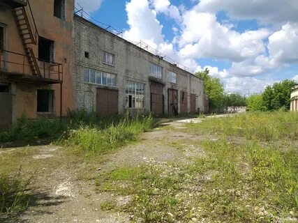 Г брянск рп белые берега