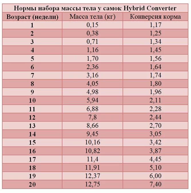 Конвертер содержания. Таблица веса индюков Хайбрид конвертер. Таблица роста индюков Хайбрид. Таблица роста индюков Хайбрид конвертер. Таблица набора веса индюков Хайбрид конвертер.