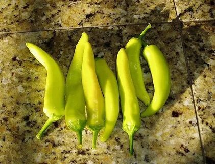 9 pepper