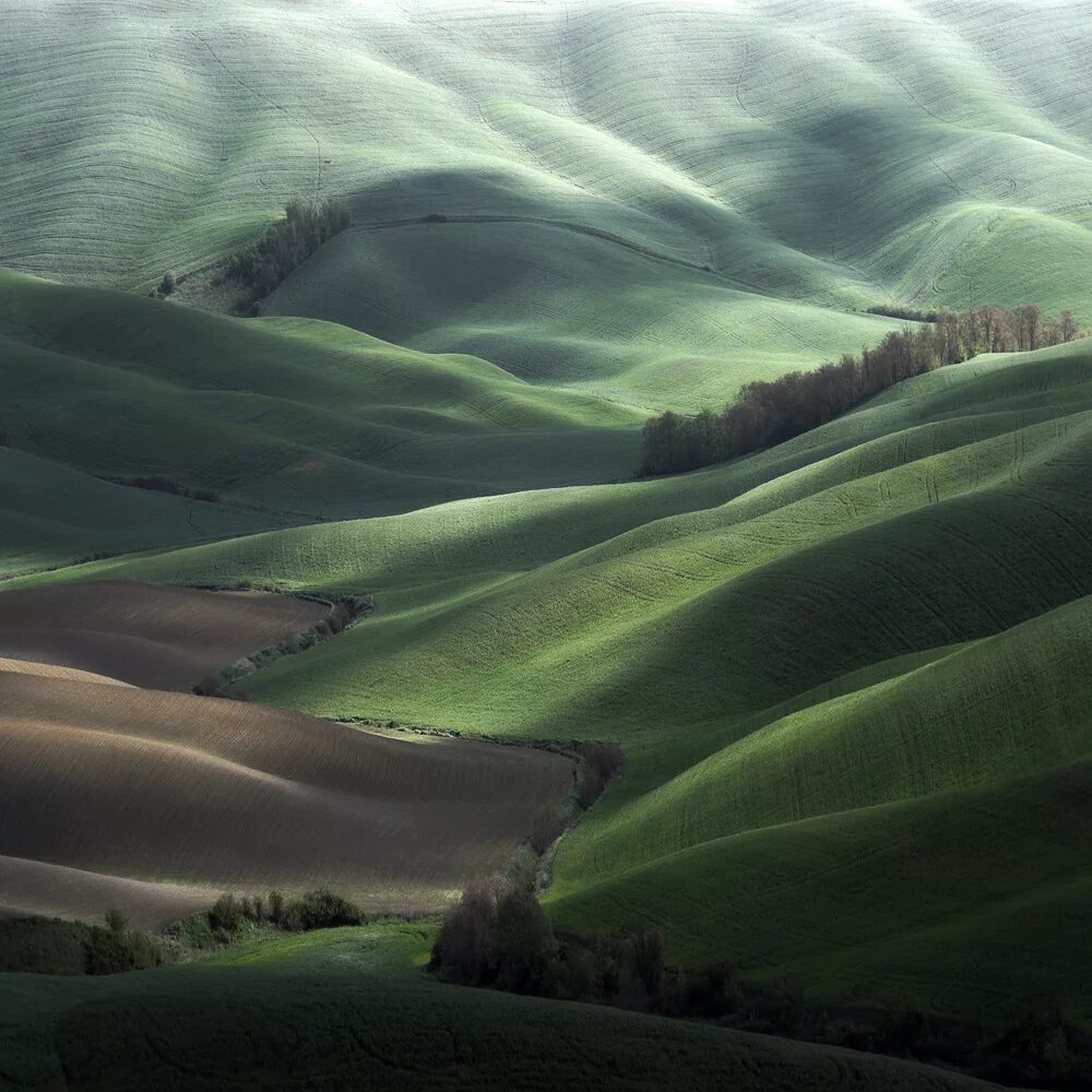 Самой ценной мыслью. Green Hills зеленые холмы Ирландии. Умные фразы. Умные цитаты. Мысли цитаты.