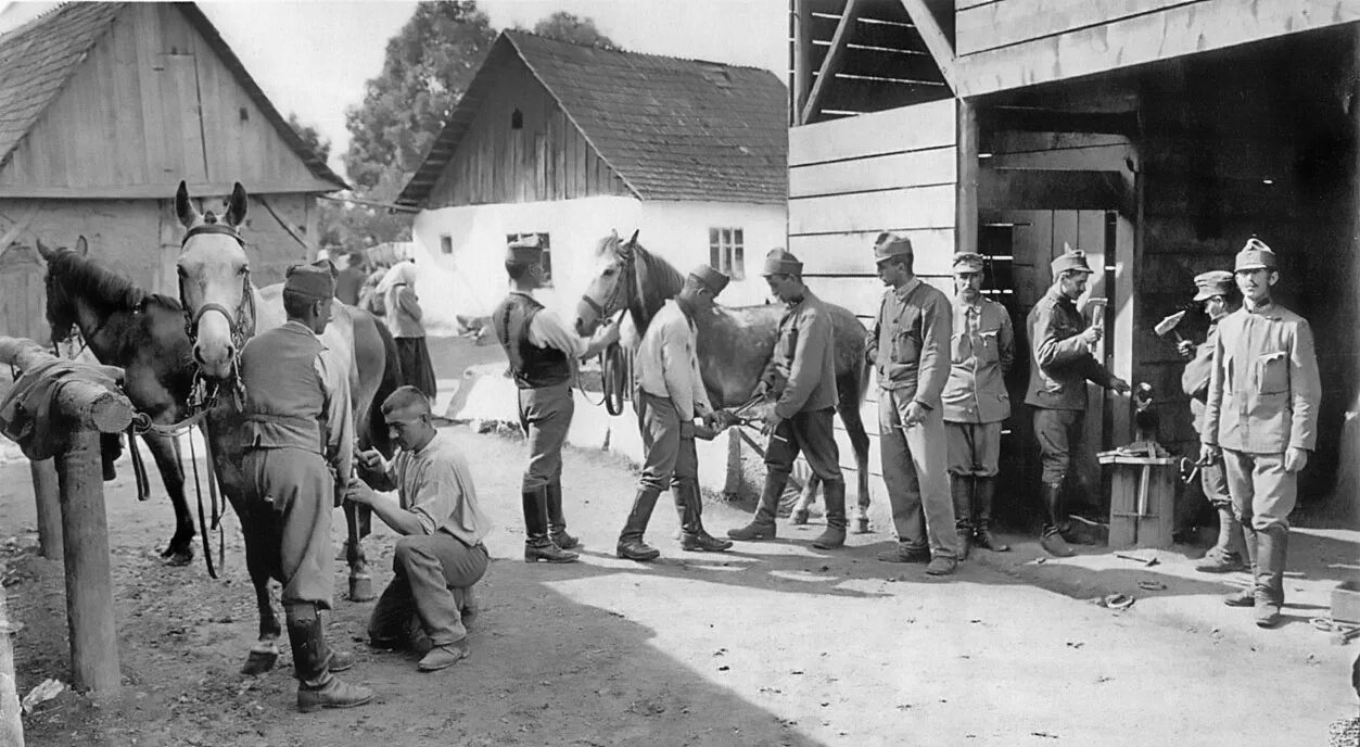 История ветеринара. Военно-ветеринарная служба в годы Великой Отечественной войны. Военная Ветеринария в Великой Отечественной войне. Ветеринария в годы войны.