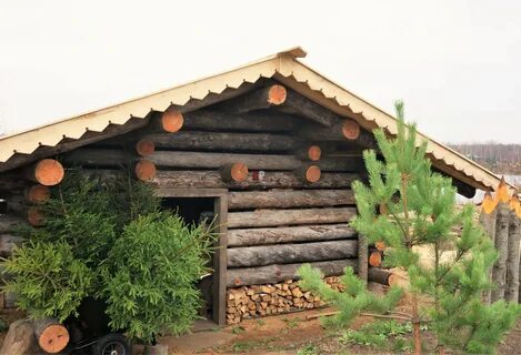 Баня из сосны